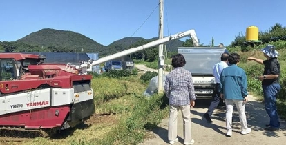 수확의 계절, 2024년 안성시 양성면 첫 벼 베기 행사