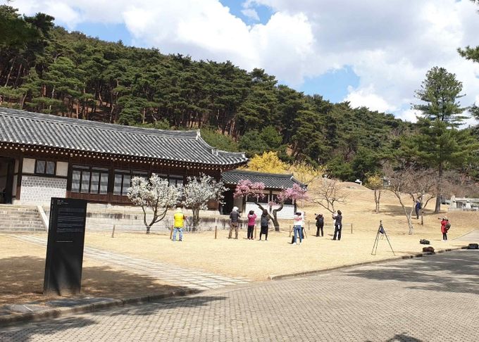 지난해 현충사 조기개방 현장 
