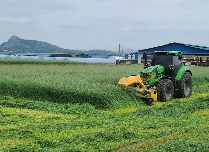 안성시, 동계 사료작물 적기 수확으로 사료가치 올려야