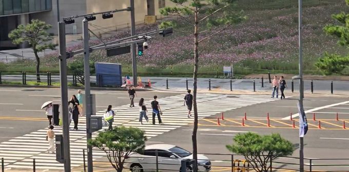 경기도, 10월 대형행사 앞두고 광교중앙로 횡단보도 신설 이끌어