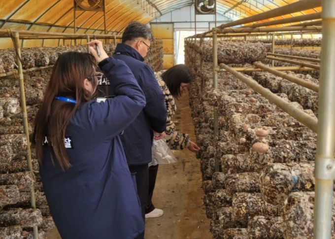 표고 생산농가 유통조사