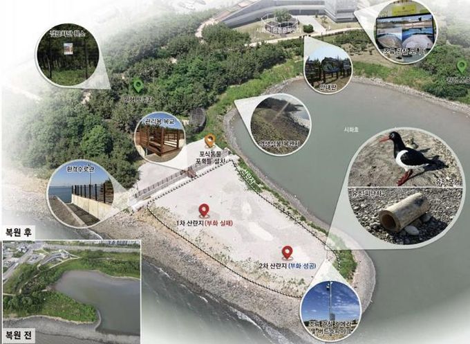 철새도래지 서식처 조성사업_철새서식지