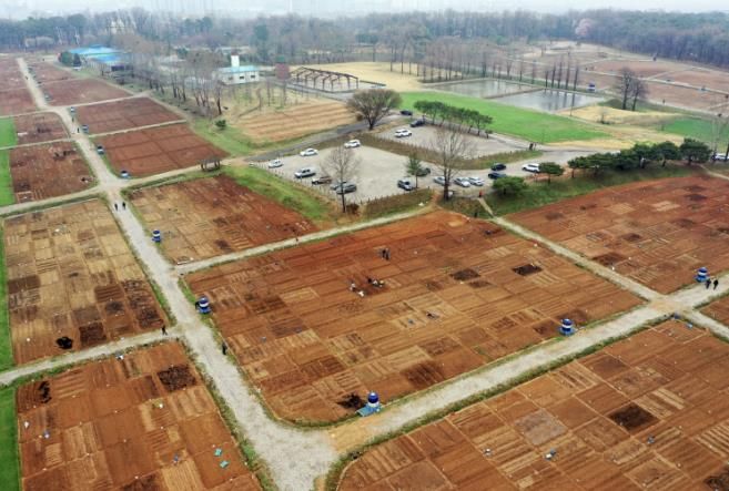 탑동 시민농장 텃밭