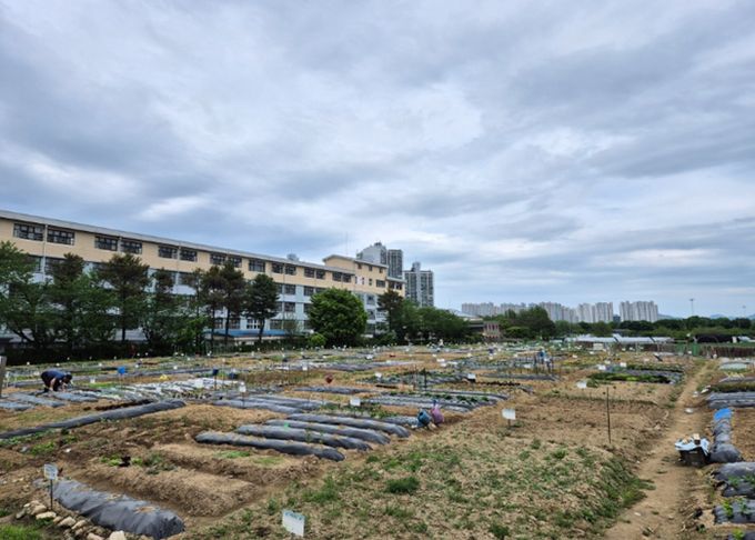 구리시, 「2026년 토평동 구리도시텃밭」운영