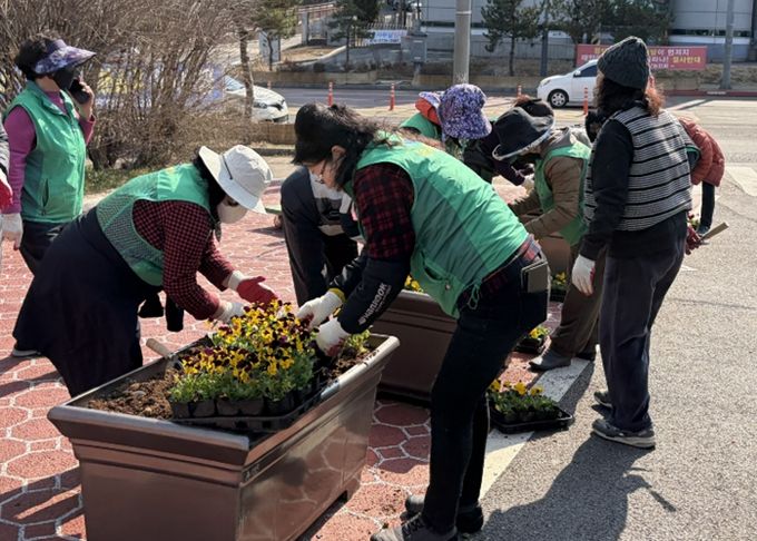 평택시 안중읍, 새봄맞이 봄꽃 심기 추진